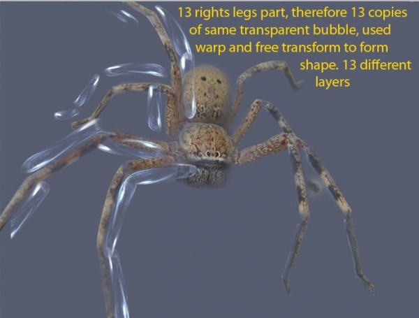 Creation of Glass Spider: Step 4